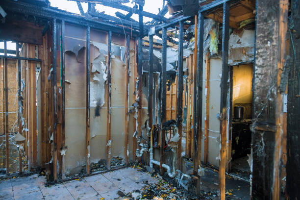 Professional Fire Damage Removal technician working in Kenmore, WA