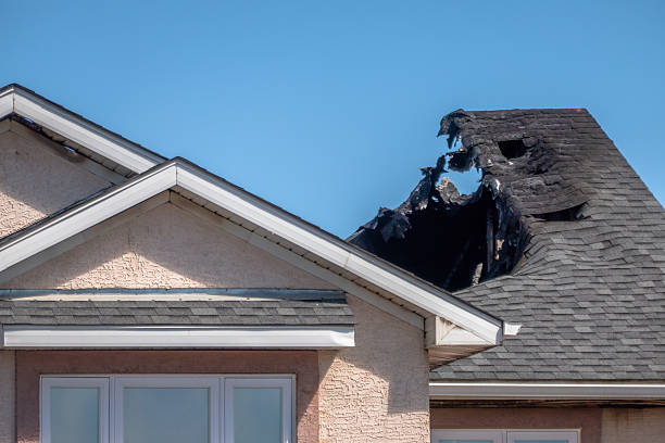 Top rated local Fire Damage Removal specialists in Kenmore, WA